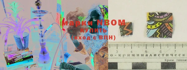 дмт Алзамай