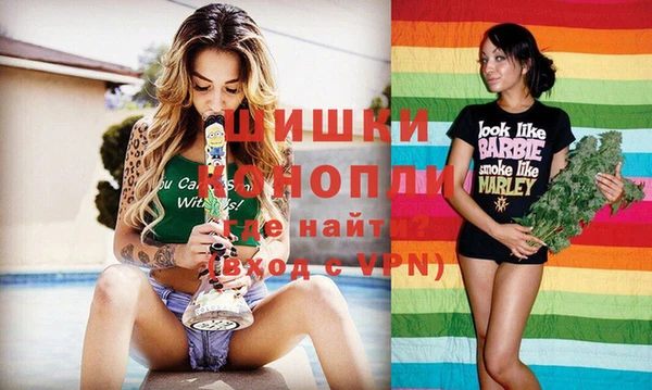 хмурый Арсеньев