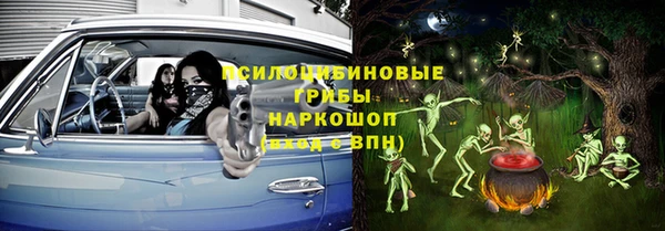хмурый Арсеньев