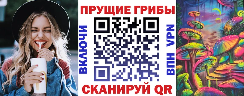 гидра ТОР Крым Псилоцибиновые грибы мицелий сколько стоит